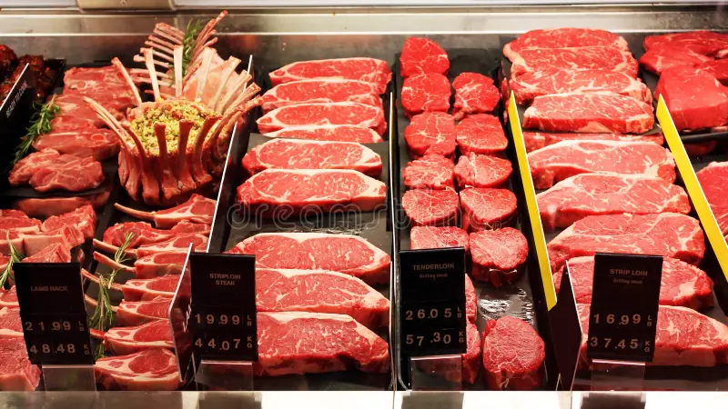 CARNES