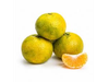 MANDARINA CRIOLLA X KG