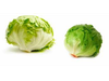LECHUGA REPOLLADA X KG