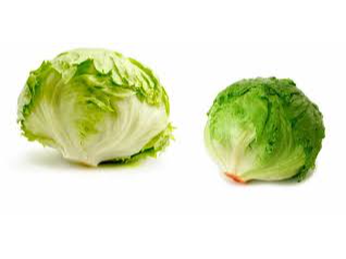 LECHUGA REPOLLADA X KG