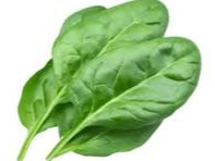 ESPINACA X MASO CHICO