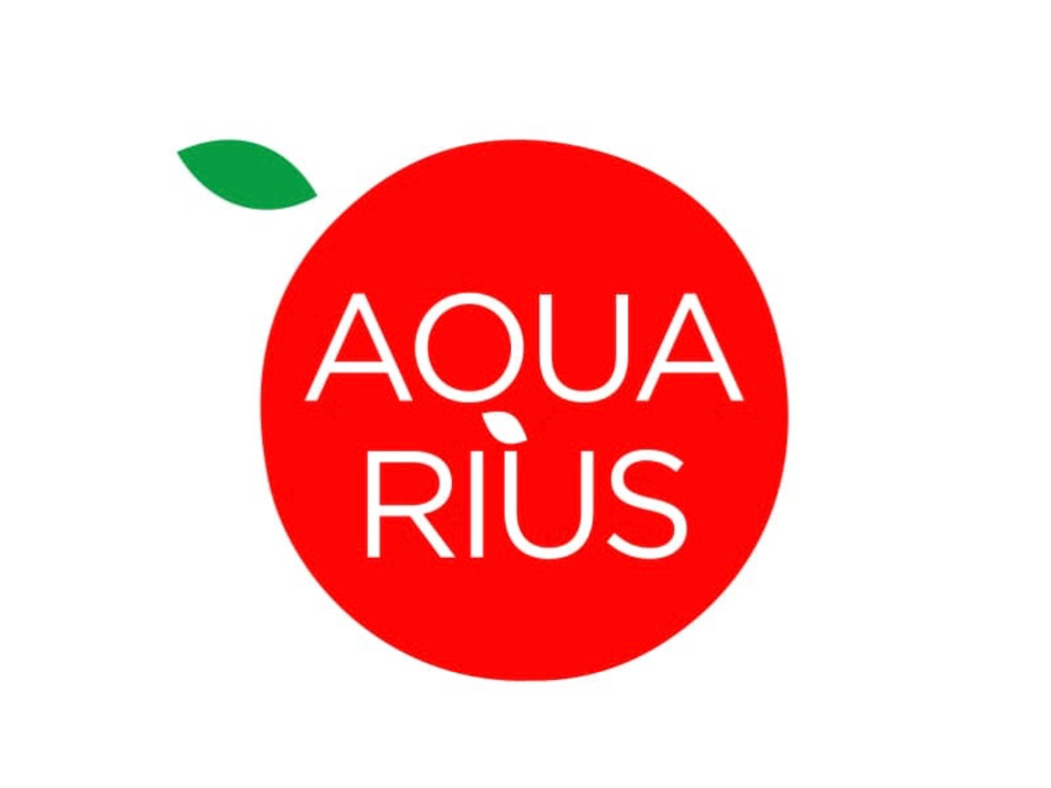 Agua Saborizada 500cc