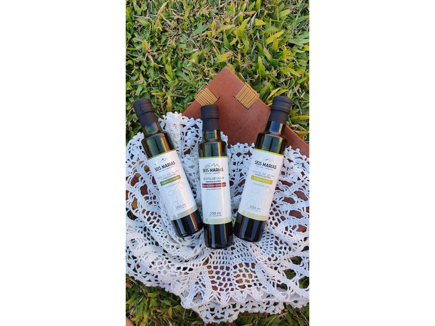 SABOR INTENSO y MEDIO x 250 cc