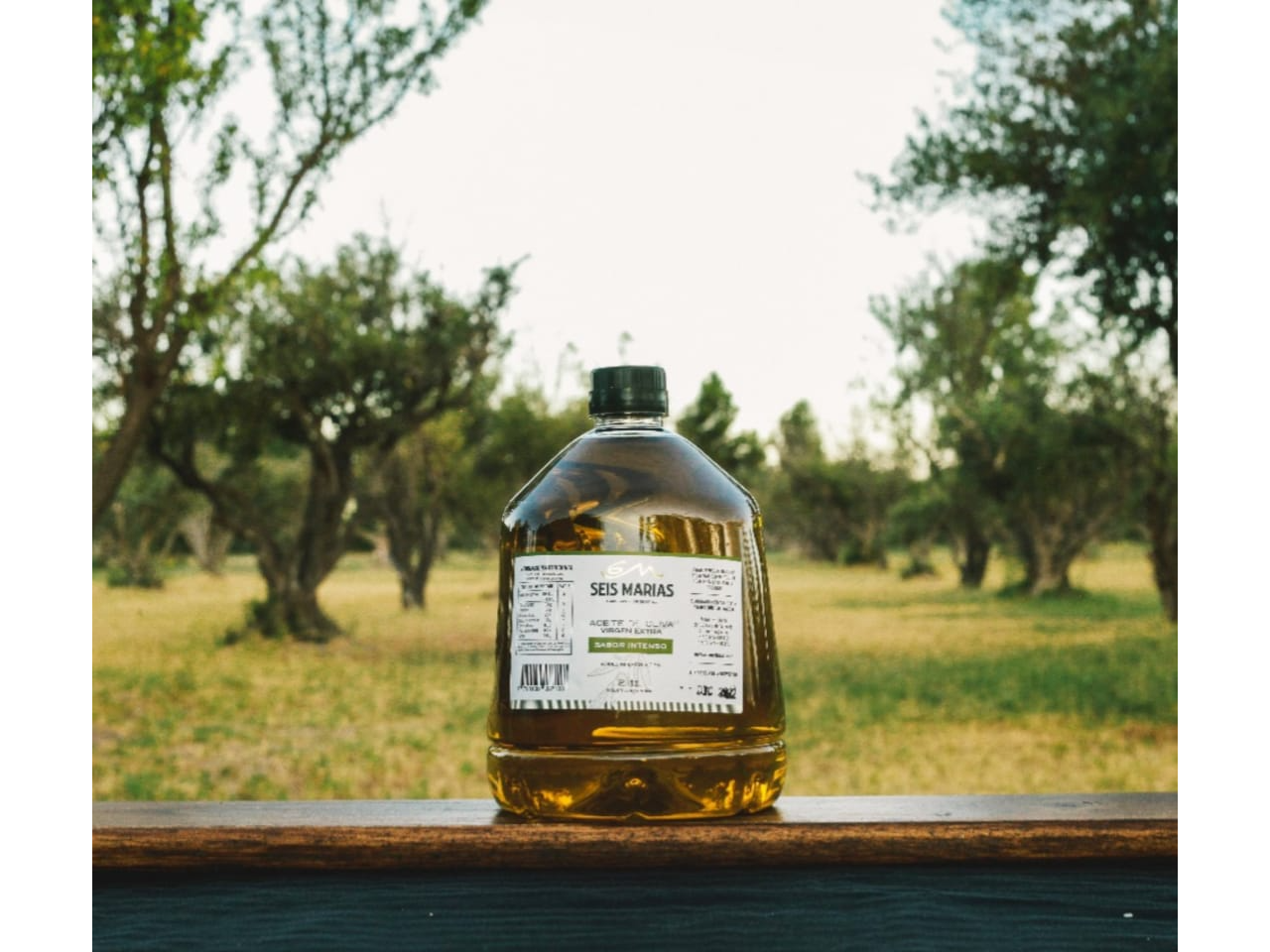 SABOR INTENSO y MEDIO x 2Lt