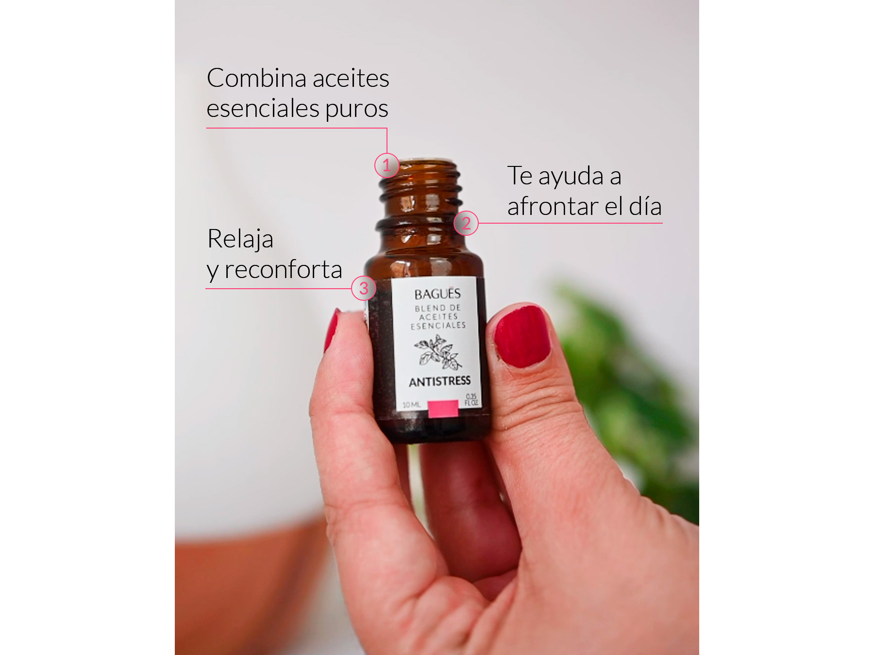 Aromaterapia y Bienestar