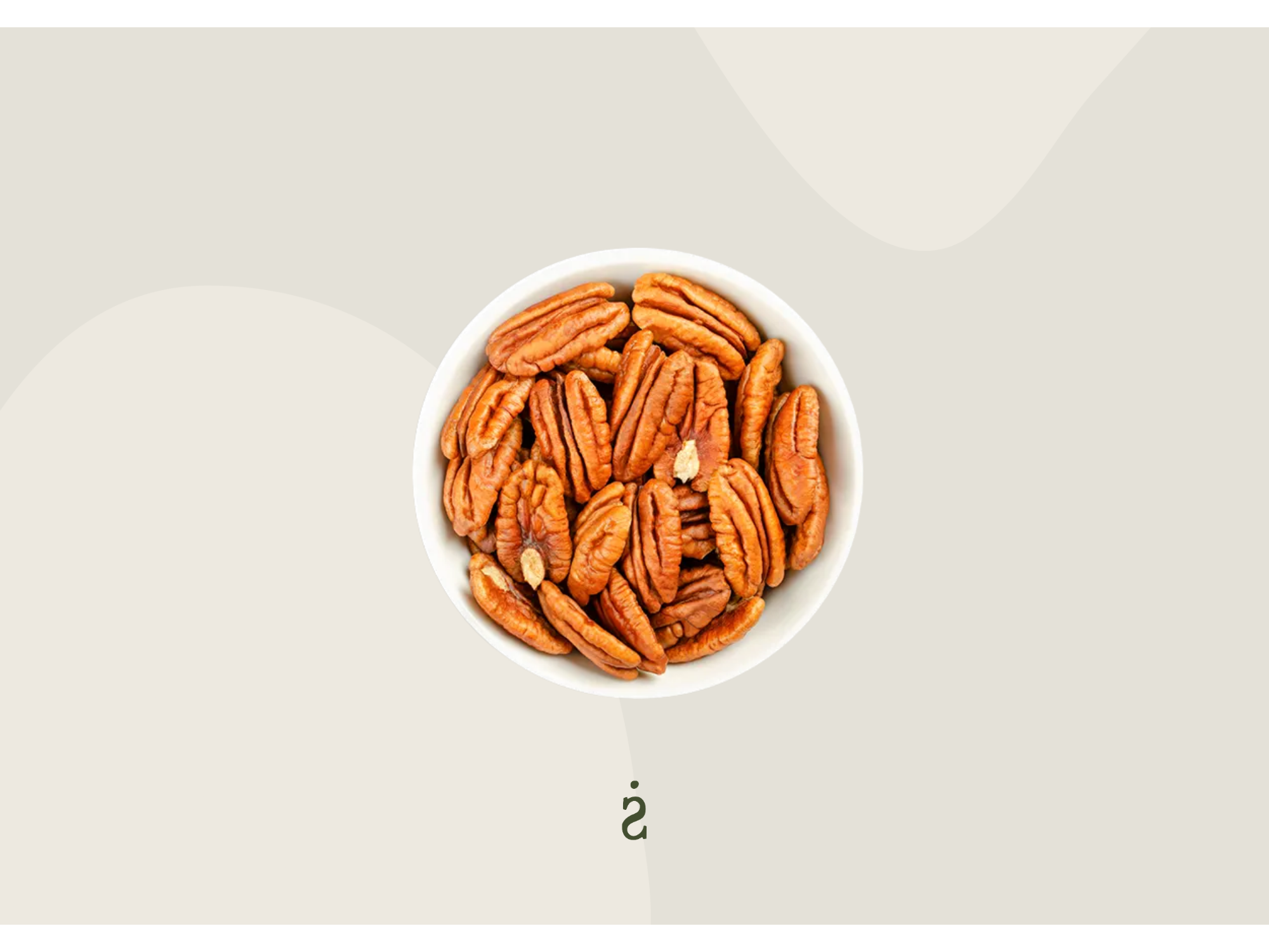 Nueces pecan