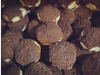 Mini tortitas negras