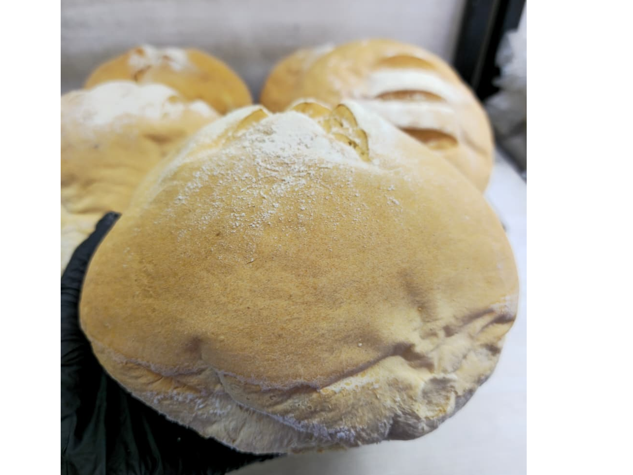 Pan de campo por unidad