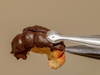 Medialuna con rellena de dulce de leche y chocolate