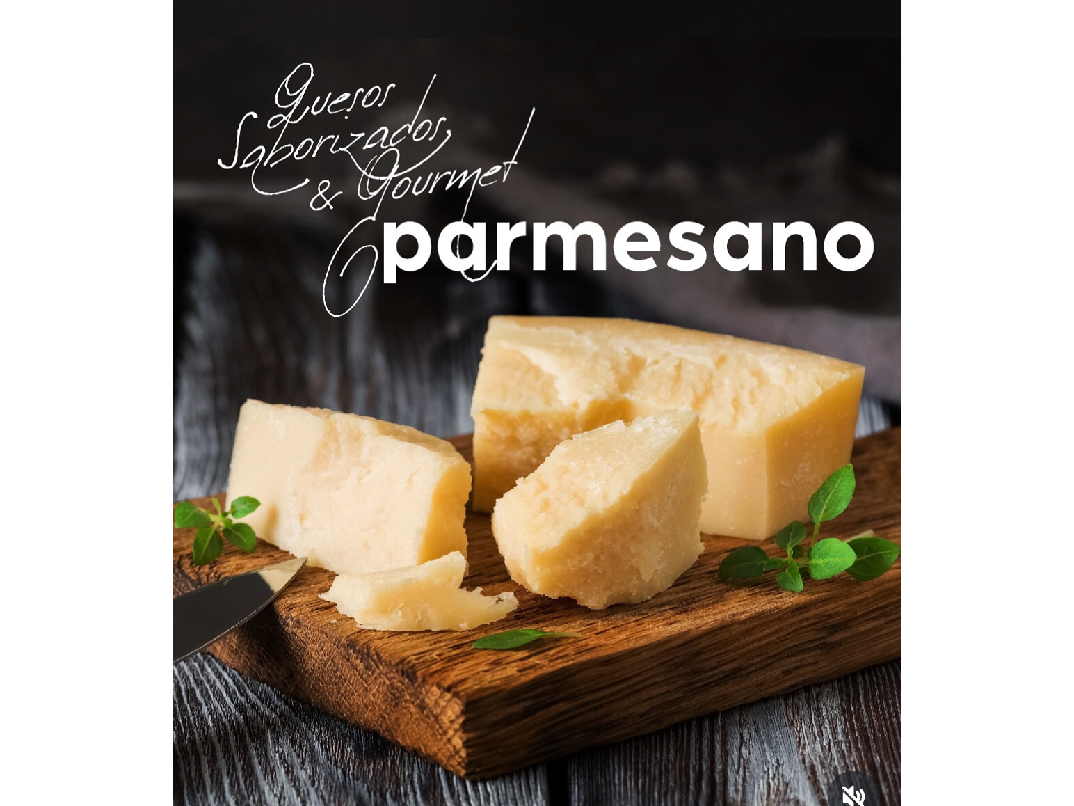 Esquesito Parmesano 400gr