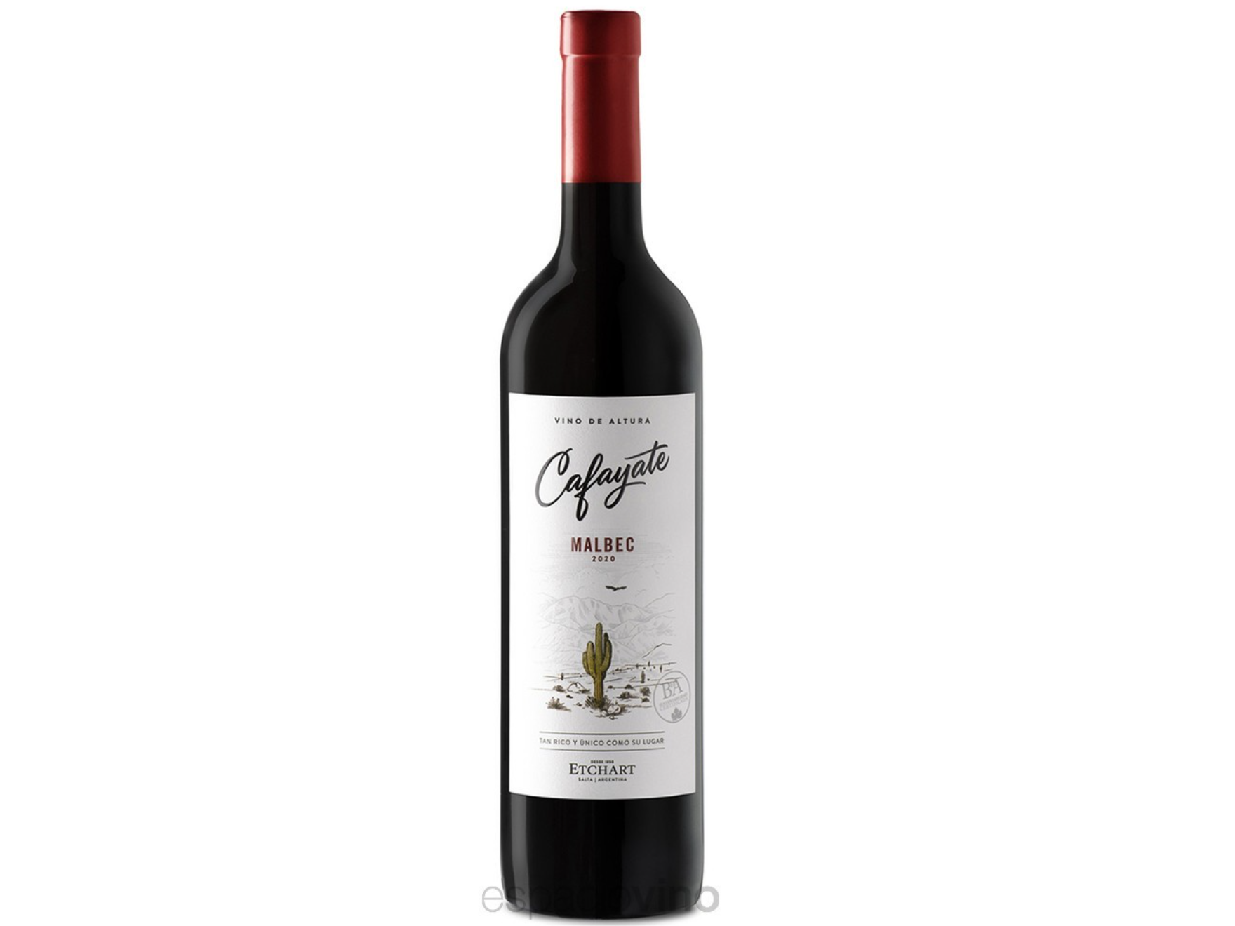 Cafayate Malbec