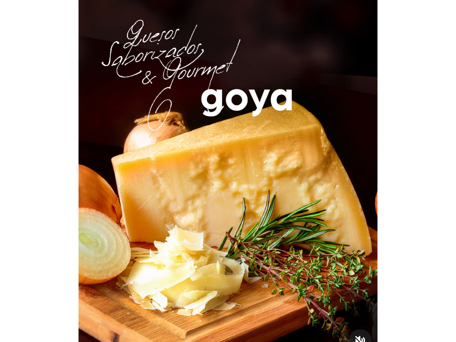 Esquesito Goya 400gr