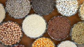 LEGUMBRES Y GRANOS