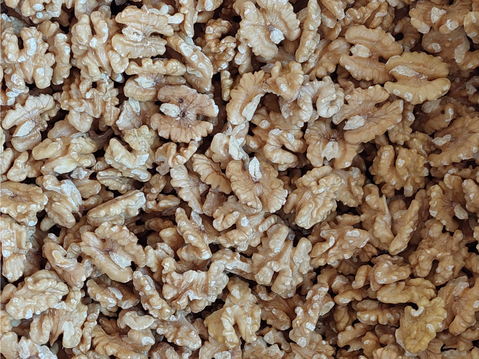 Nuez mariposa extra light