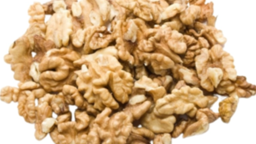 NUECES