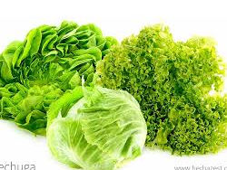 Lechuga de La Fruteria Express