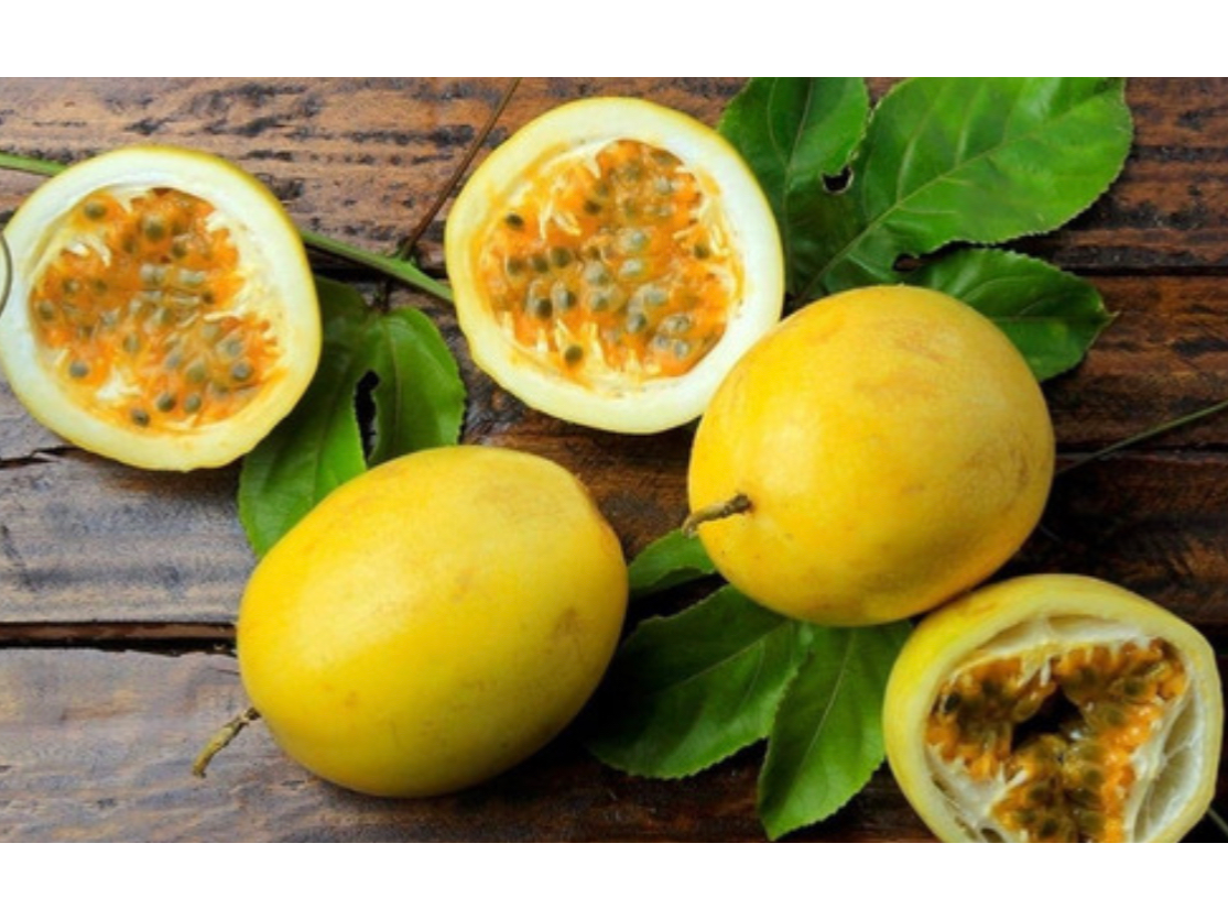Maracuya