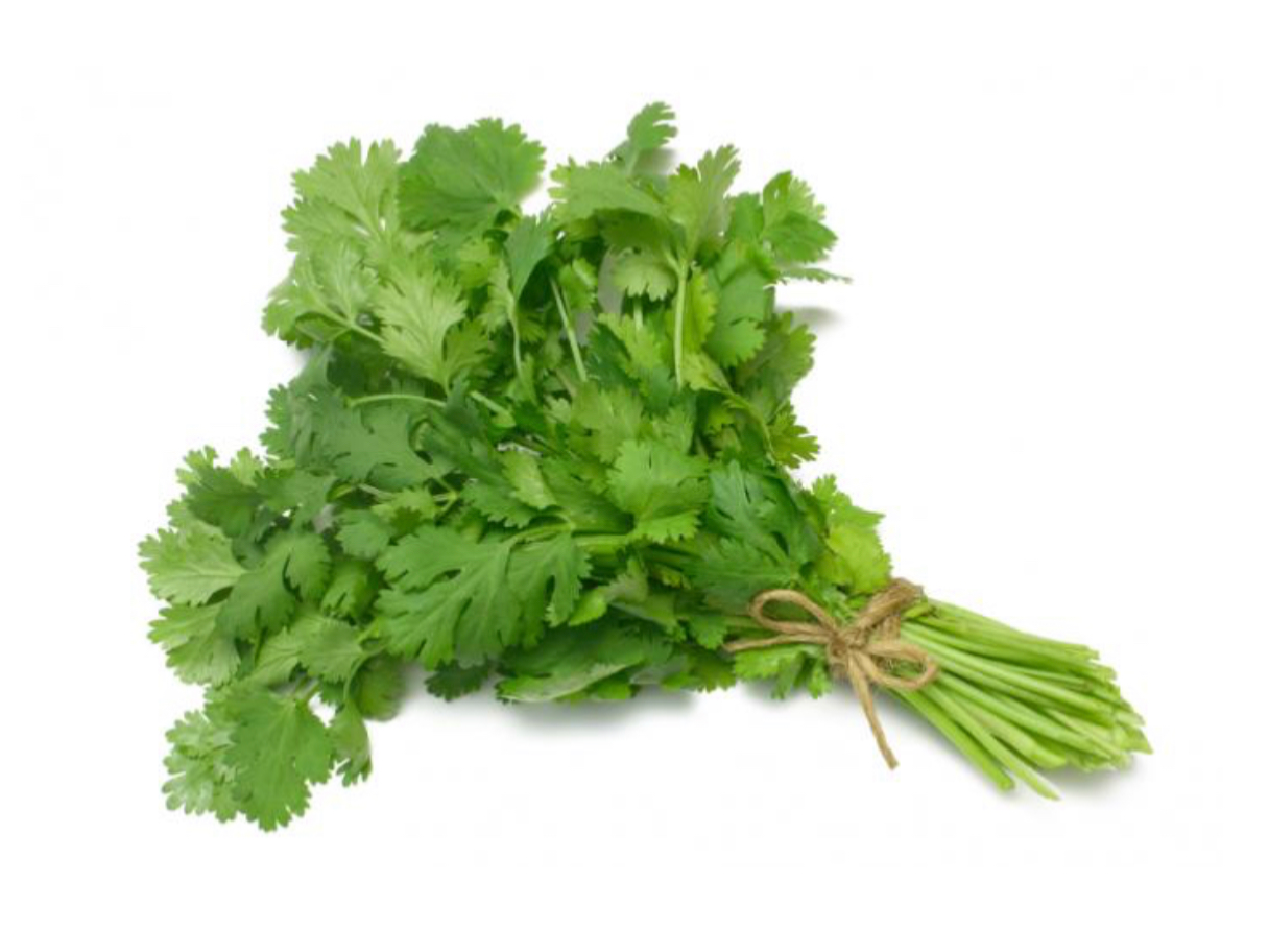 Menta