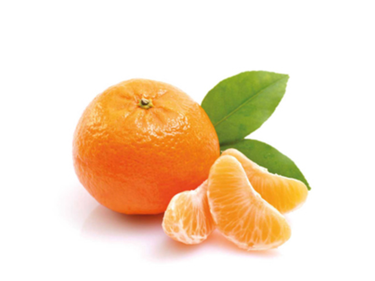Mandarina NOVA