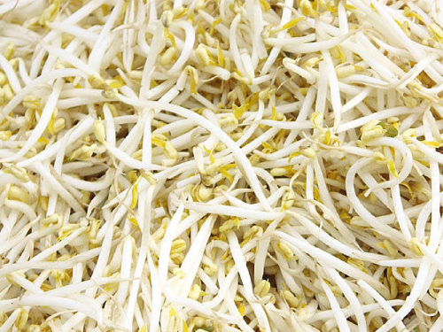 Bandeja Brotes de Soja x Un.