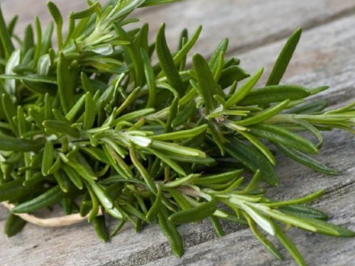 Aromática Romero x Un.