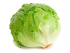 Lechuga Repollada