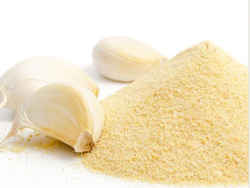 Ajo en polvo x 100gr