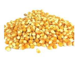 Maiz Pisingallo X 500 Grs.