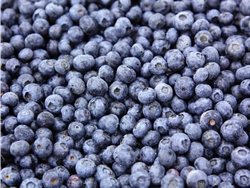 Arandanos IQF X 1kg.