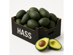 Caja de palta Hass