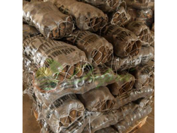 Bolsa de papa cepillada