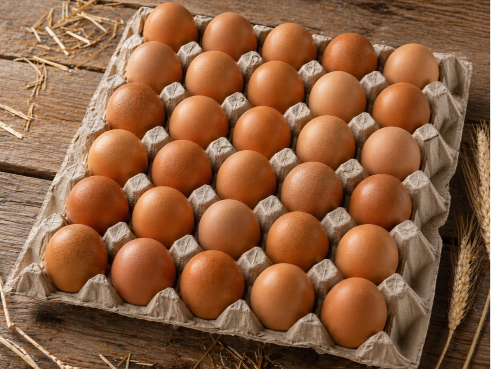 Huevos de color MEDIANO x30 unidades