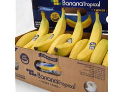 Caja de banana ecuador
