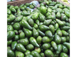Cajón palta torres