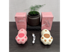 CEPILLO CON SPRAY PARA MASCOTAS (DISENO PATA DE GATO) MCN-07937