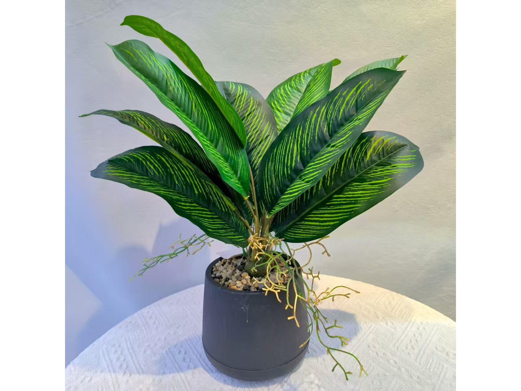 PLANTA EN MACETA DE AGLAONEMA MCN-05290