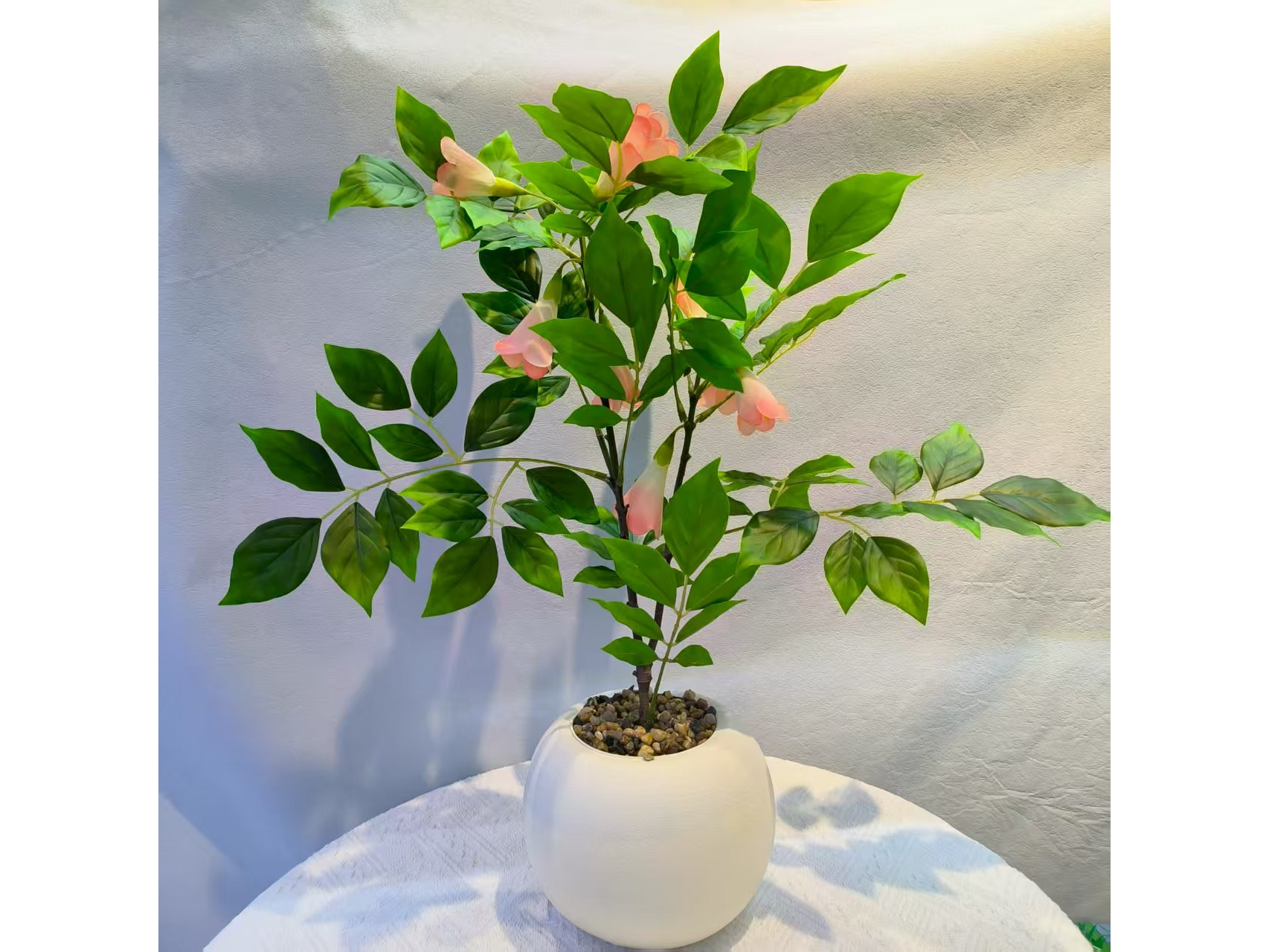 PLANTA EN MACETA DE FLOR DE JUDíA MCN-05257