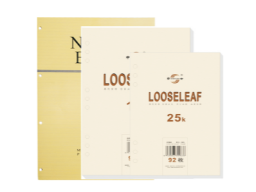 HOJAS DE CARPETA (A4) MCN-02588