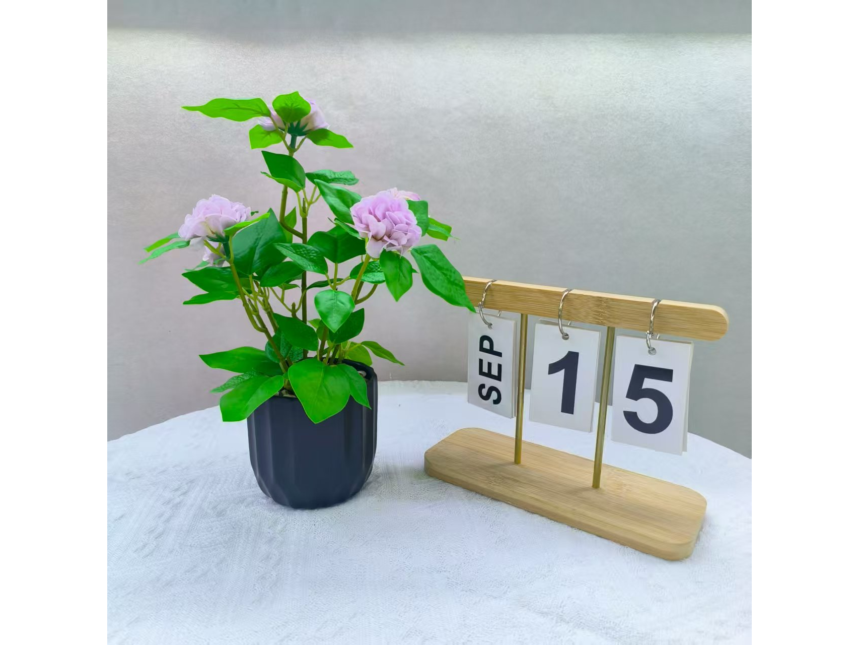 PLANTA EN MACETA DE HORTENSIA PEQUE?A MCN-05261