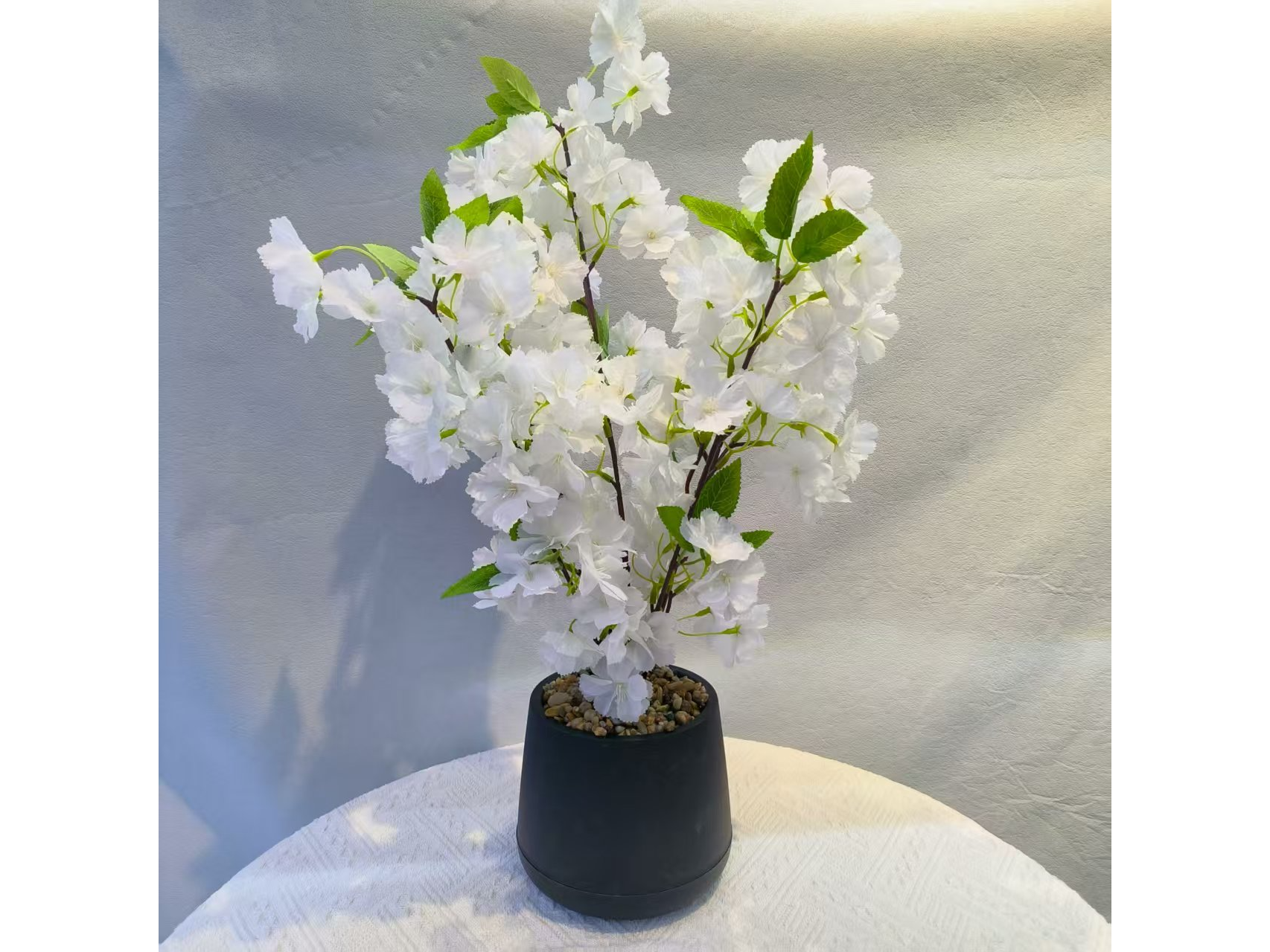 PLANTA EN MACETA DE FLOR DE CEREZO MCN-05256