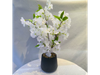 PLANTA EN MACETA DE FLOR DE CEREZO MCN-05256