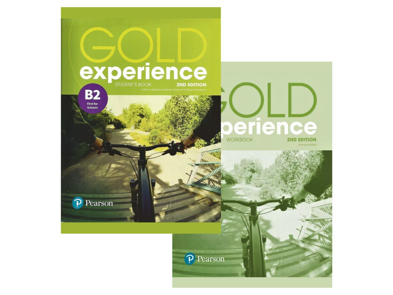 Gold Experience B2 - Manual + Ficha