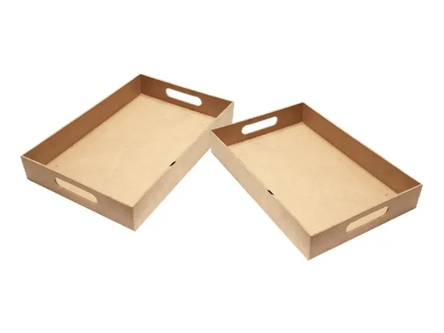 BANDEJAS 20 X 30 CM  (x 24 UNIDADES)