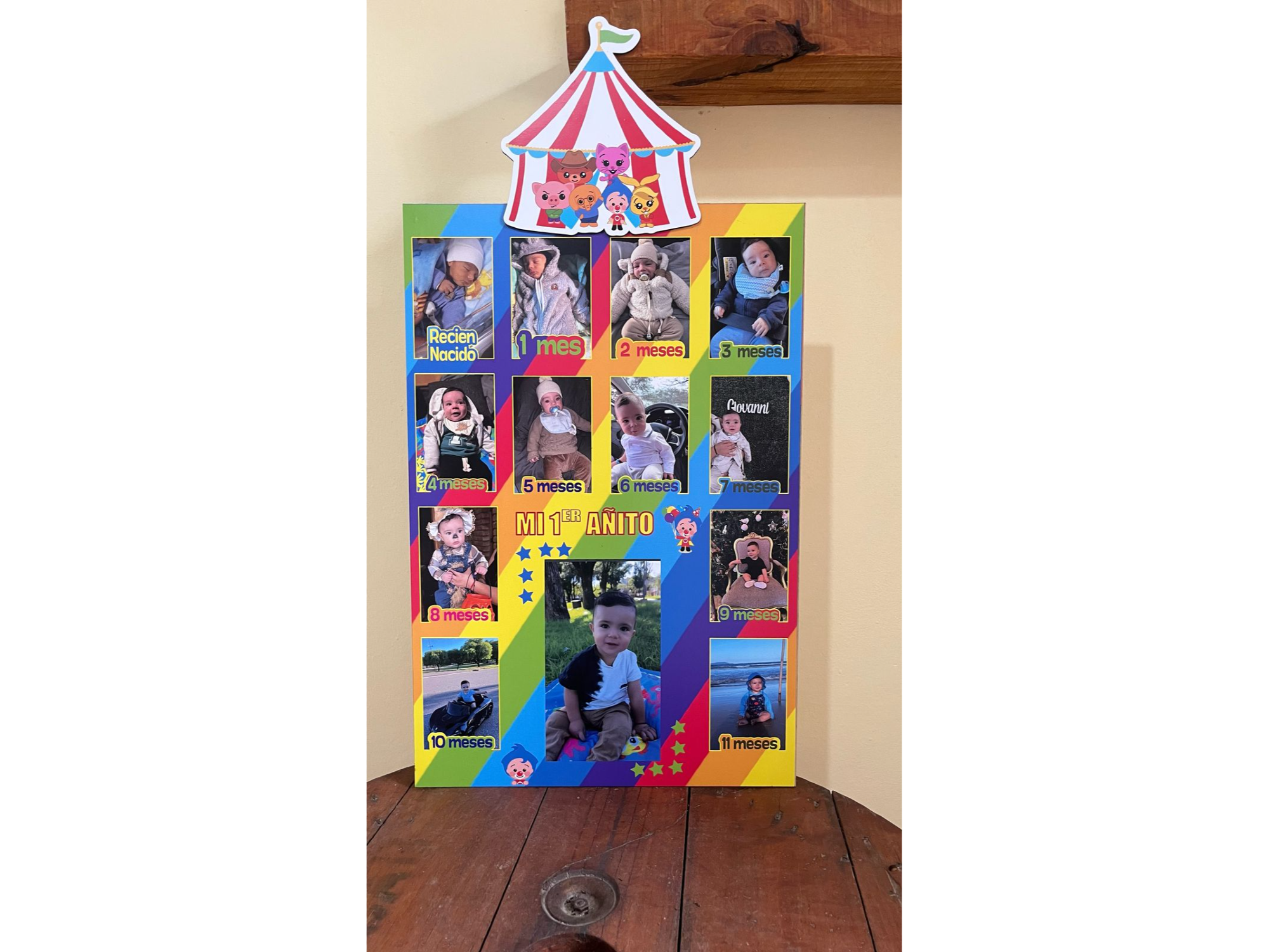 CUADRO  PRINCESS MESES