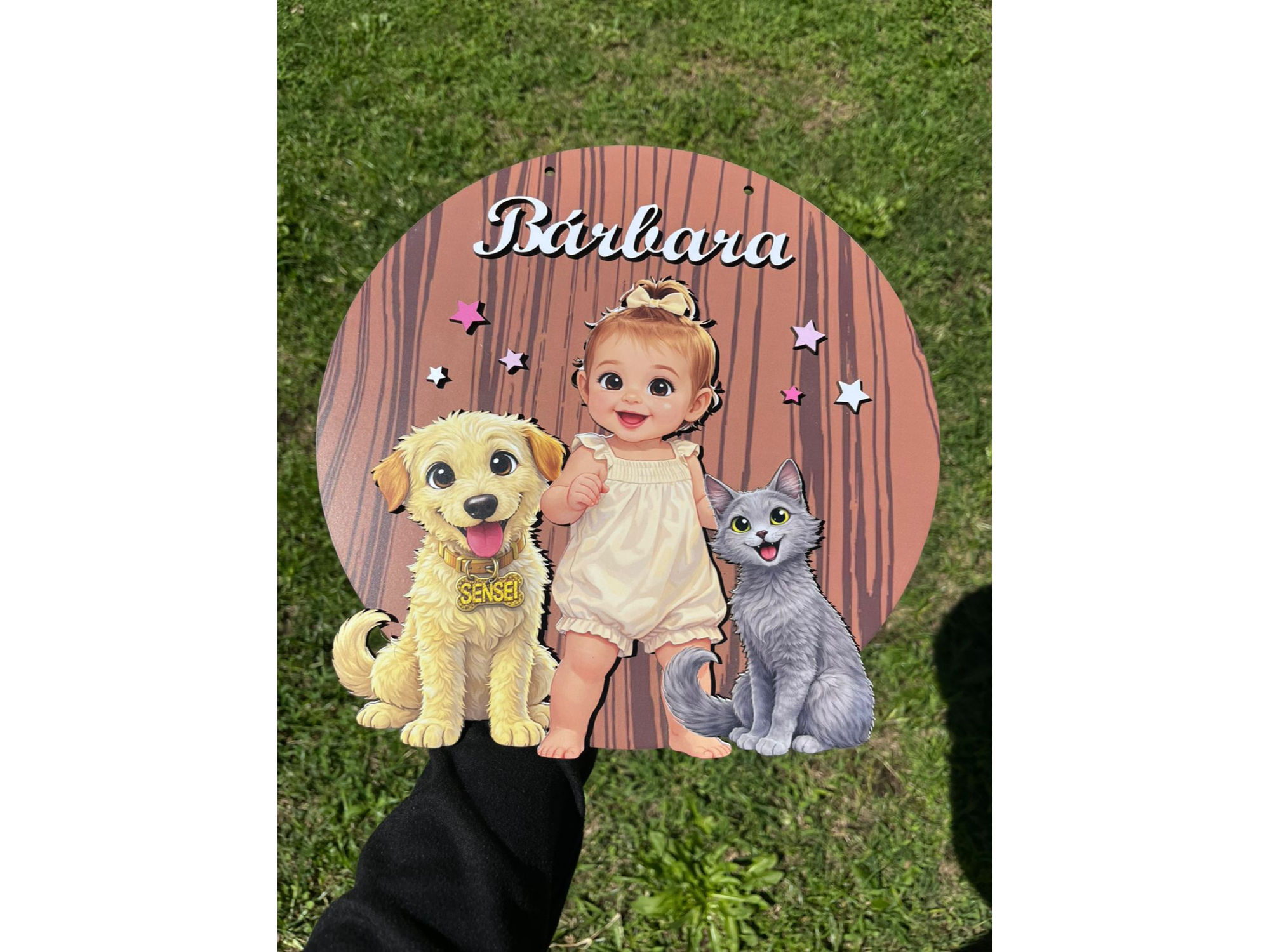 CARTELES PERSONALIZADOS FONDO A COLOR