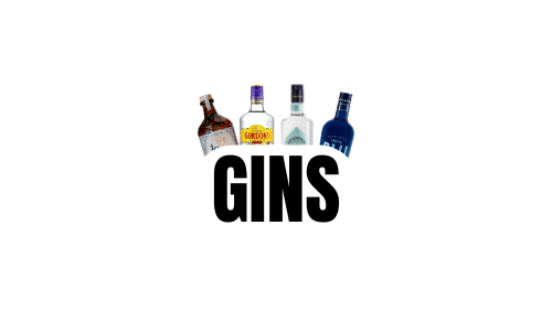 GINS