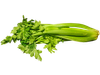 Apio