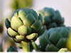 ALCAUCIL