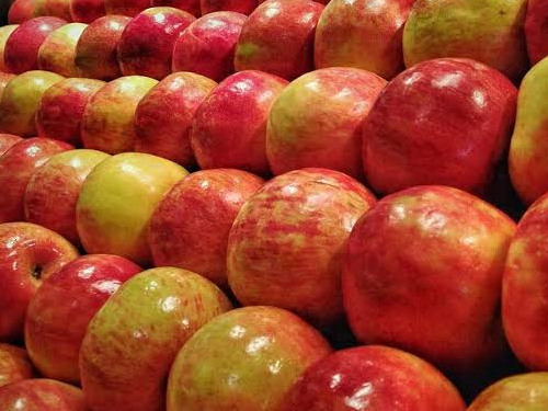 MANZANA PROMO