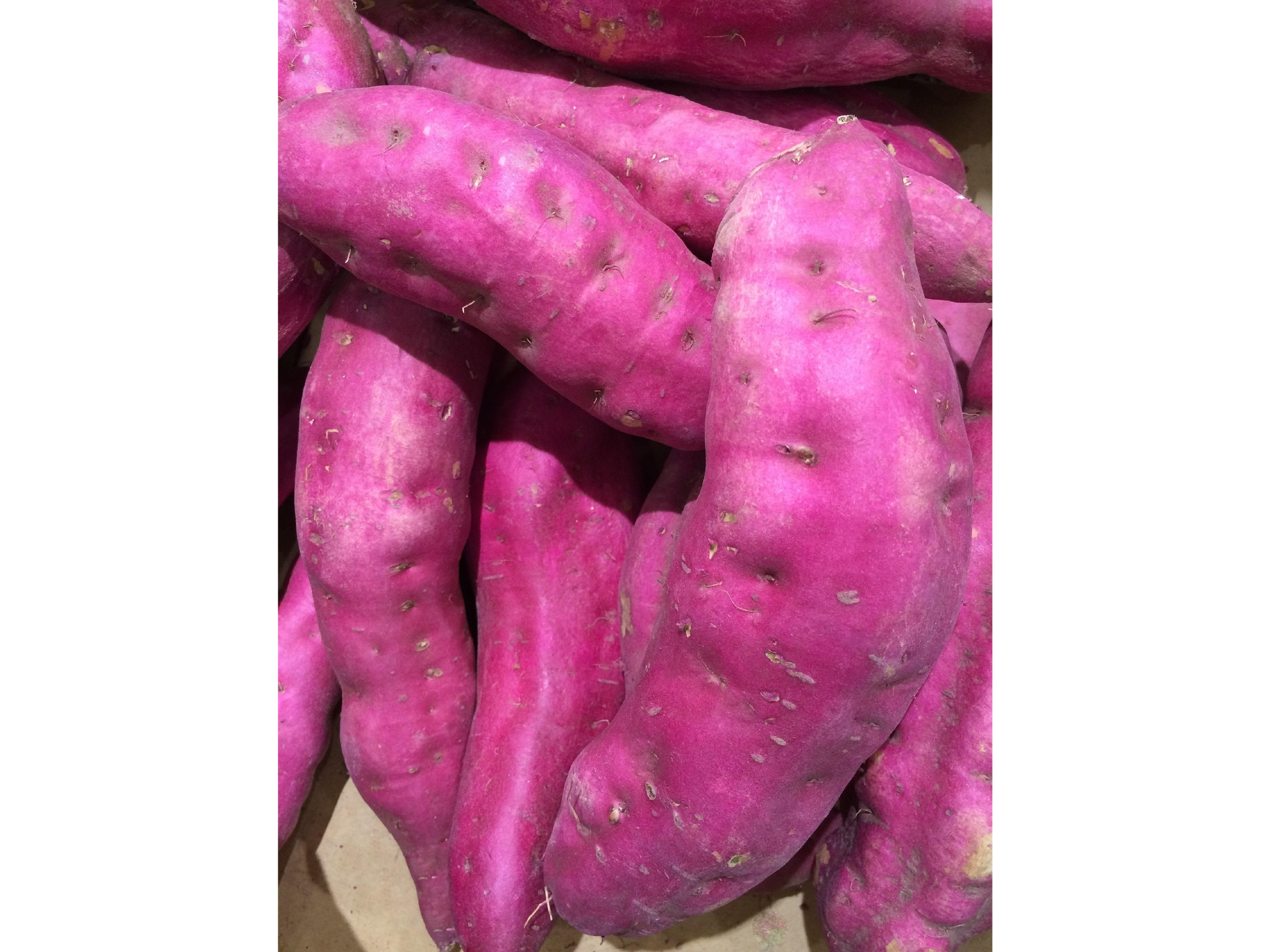 BATATA COLORADA
